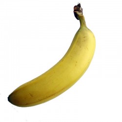 Bananes bio en vrac, Fruits Bio Exotiques des producteurs